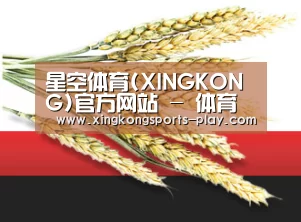 星空体育(XINGKONG)官方网站 - 体育赛事
