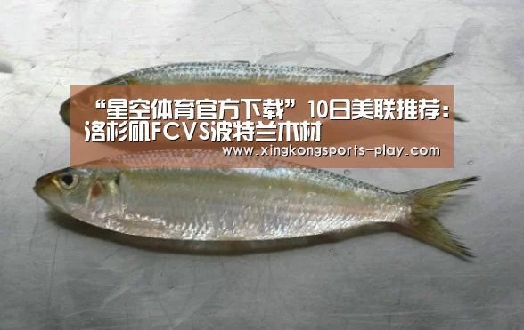 “星空体育官方下载”10日美联推荐:洛杉矶FCVS波特兰木材(图1) 星空体育app下载