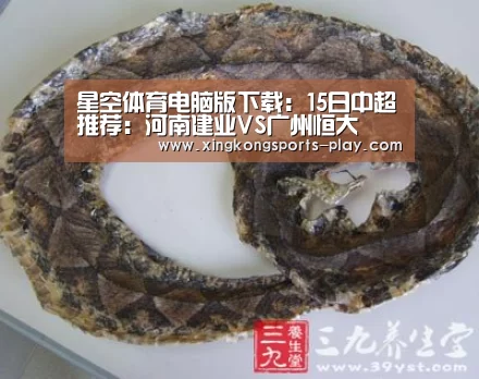 星空体育电脑版下载:15日中超推荐:河南建业VS广州恒大(图3) 星空体育官方下载